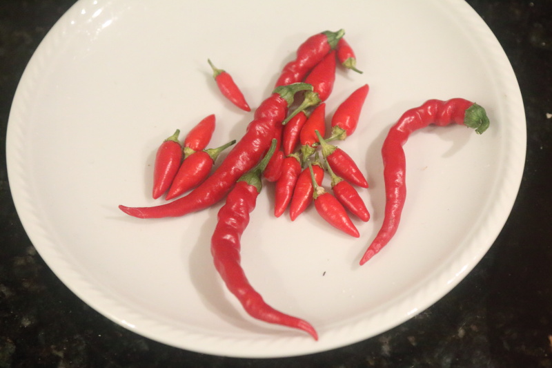 Chillies